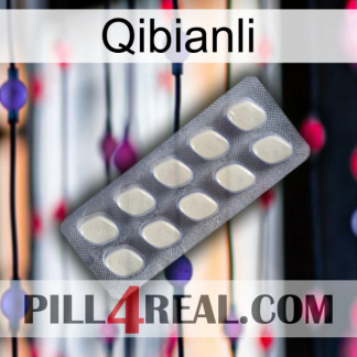 Qibianli 08